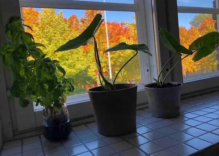 Toukola Helsinki 60 M2 Apartment. Mi Casa Tu Casa